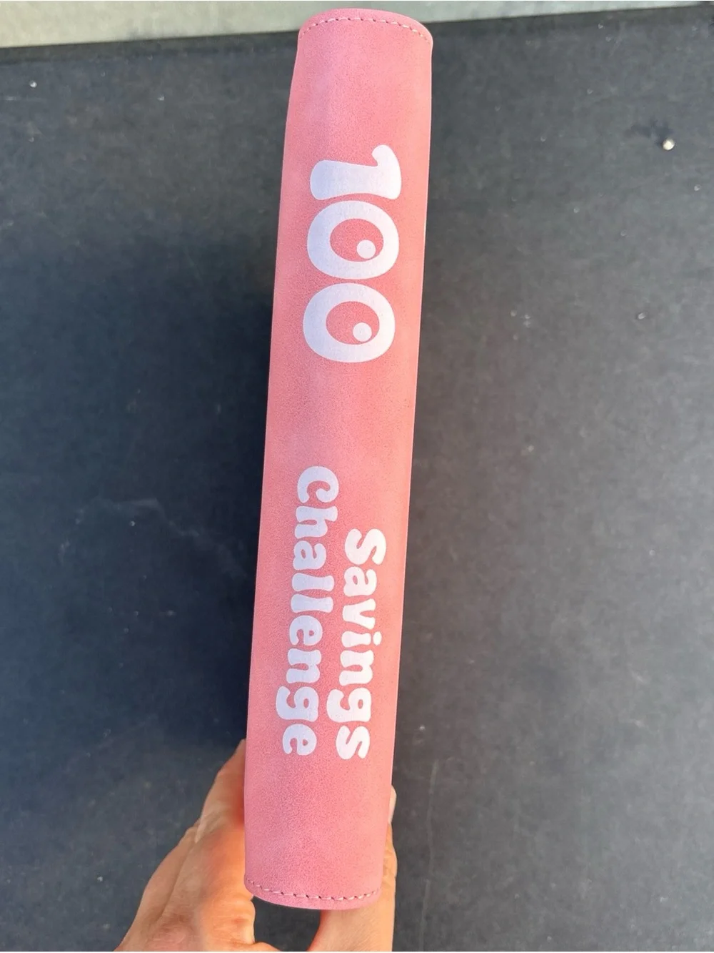 100 Envelope Savings Challenge Pink Savings Binder